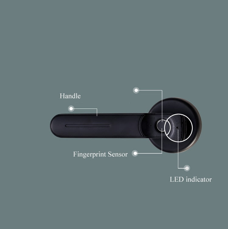 Smart fingerprint password induction lock