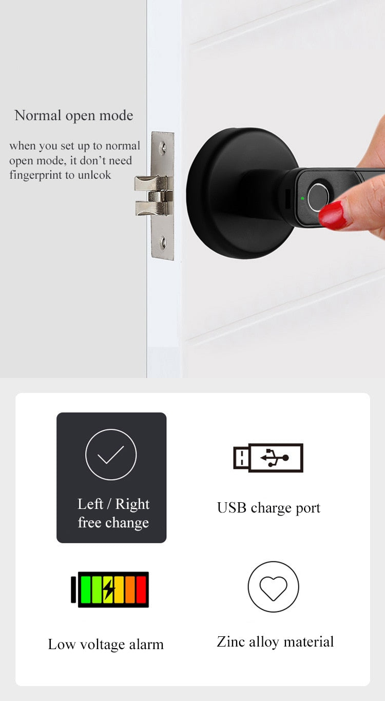 Smart fingerprint password induction lock