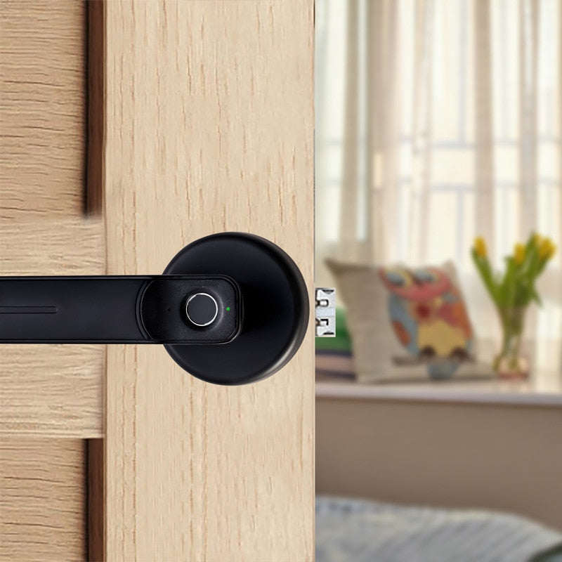 Smart fingerprint password induction lock