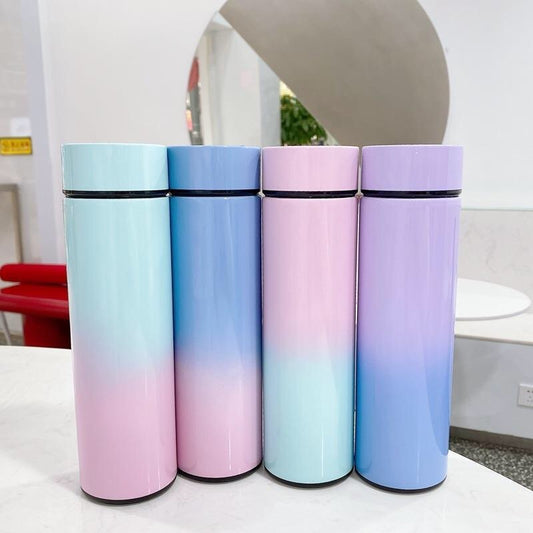 Intelligent Stainless Steel Bottle Cup with Temperature Display